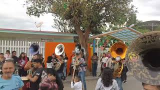 Banda las estrellas del pacífico tocando el gallo 🐓 viejo 🔝‼️ [upl. by Tat]