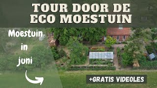 Moestuin in Juni 2023  Tour door Ecologische Moestuin [upl. by Arfihs]