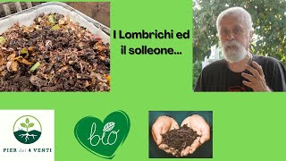 I Lombrichi ed il solleone [upl. by Anavrin]