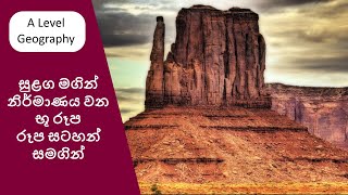 සුළග මගින් නිර්මාණය වන භූ රූප  A Level Geography [upl. by Niryt902]