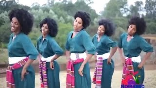 Best Ethiopian Traditional Music 2014 Solomon Demle  Mech Ayeshiwuna [upl. by Eecart491]