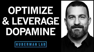 Leverage Dopamine to Overcome Procrastination amp Optimize Effort  Huberman Lab Podcast [upl. by Marsland156]