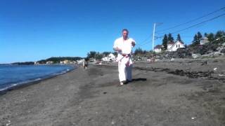 Shinburyu Chitoryu karatedo Kihon no sai by Jean Noel Blanchette 7 Dan [upl. by Filide]