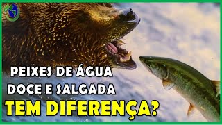 Qual a DIFERENÇA entre PEIXES de ÁGUA DOCE e SALGADA [upl. by Assira236]