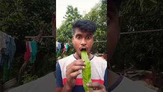 TASTY tHE MOST FUN POPSICLE IN CHILDHOOD CHINESE FOOD EATING SHOW  funny [upl. by Ahsemo]