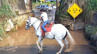 Colocando o cavalo Gaúcho pra atravessar um alagado [upl. by Fagaly]