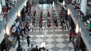 Flash Mob Dance at Ohio States Union May 3 2010 [upl. by Ewen298]