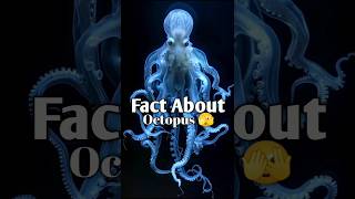 Fact About Octopus 🫣  Golu saini  facts golusainifact entertainment golusaini [upl. by Ahseek]