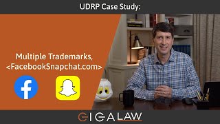 UDRP Case Study Multiple Trademarks FacebookSnapchatcom [upl. by Anaiviv830]