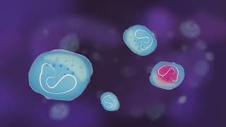 prokaryotic cells and eukaryotic cells [upl. by Ford]