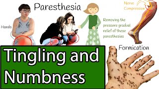 Numbness and Tingling Causes of Paresthesia [upl. by Artsa]