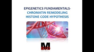 EPIGENETICS FUNDAMENTALS  CHROMATIN REMODELING  HISTONE CODE HYPOTHESIS [upl. by Yroger]