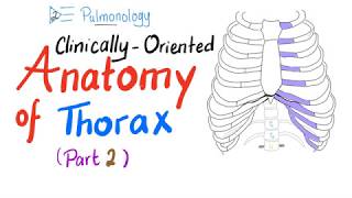 ClinicallyOriented Anatomy of the Thorax Part 2 [upl. by Rehpetsirhc]