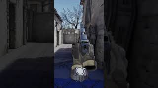 Counter Strike In VR [upl. by Ijneb905]