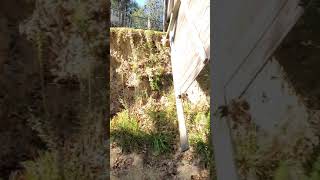 Retaining wall failure [upl. by Dinse]