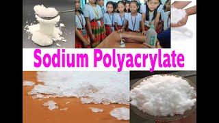 Experimental of Sodium Polyacrylate with school children Class 4 [upl. by Einama289]