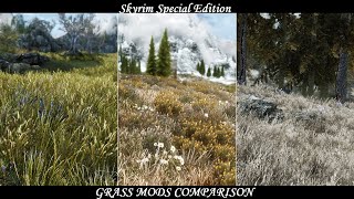 Skyrim SE  Grass Mods Comparison REUpdated [upl. by Haraz]