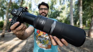 BEST Budget Wildlife Photography Lens Canon RF 800mm f11 Lens Review [upl. by Onafets440]