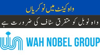 Wah Novel Jobs Wah Cantt  Wah Cantt Jobs July 21 2024  Wah Cantt Jobs Today  Wah Cantt Jobs [upl. by Markus189]