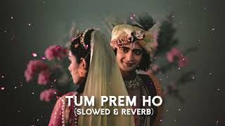 Tum Prem Ho  s l o w e d  r e v e r b   chill with wiz [upl. by Mori286]