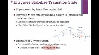 039Transition State Stabilization [upl. by Carling]