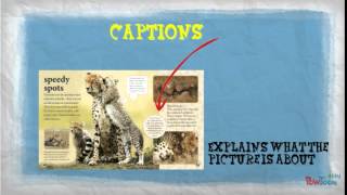 NonFiction Text Features [upl. by Yoshi]