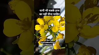 पानी भी सबके हाथ का नहीं पीना चाहिएaniruddhacharya ji Maharaj shorts Viral 97 milli [upl. by Nannerb]