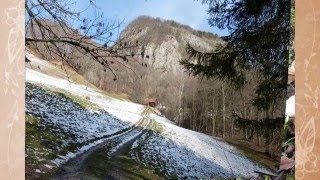 6 Februar 2016 Römerweg und Schollbergstrasse Wanderung SargansTrübbach und zurück [upl. by Janerich]