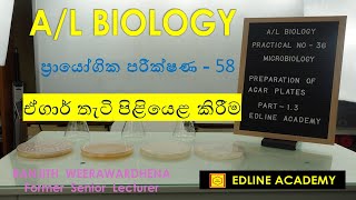 Microbiology Practical No 12  Preparation of agar plates Advanced Level Biology Practicals [upl. by Nnaeitak465]