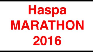 3 Hamburg Marathon 2016 km 20 Haspa [upl. by Livy]