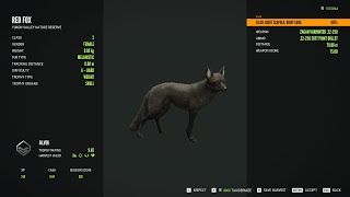 Red fox  6Melanistic  theHunter Call of the Wild 2024 02 05 [upl. by Child]