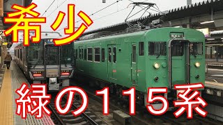 【1編成のみ】最も注目されにくい115系。こんなところを走っています。東舞鶴→福知山 乗車記 [upl. by Eneri976]