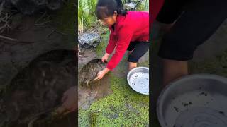 Amazing technique of fishing from sink with filter [upl. by Woodcock]