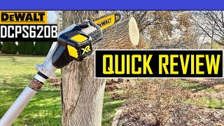 DEWALT POLE SAW REVIEW  DCPS620B DEWALT TOOLS TOOL REVIEW CHAIN SAW REVIEW CHAIN SAW POLE SAW [upl. by Einomrah]