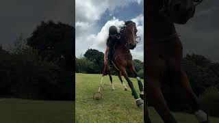 Polocrosse practice lacrosse horsegirls horseracing equestrian horsesports horseriding [upl. by Kcirddahc]