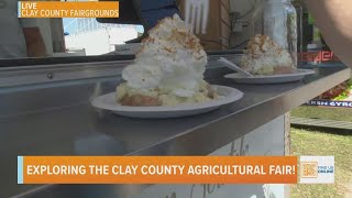 Exploring the Clay County Agricultural Fair [upl. by Kipper]