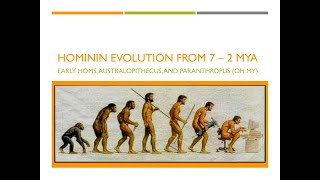 Hominin Evolution Part 1 The First 5 Million Years [upl. by Gnol857]