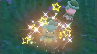 Shiny Fomantis In Pokémon Scarlet [upl. by Hailee112]