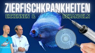 Parasiten Bakterien Pilze  Kranke Aquarienfische erkennen und behandeln [upl. by Witt]