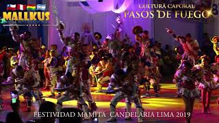 CAPORALES PASOS DE FUEGO  BANDA INTER MALLKUS IQUIQUE CHILE  CANDELARIA LIMA 2019 COLISEO PUNO [upl. by Adriaens277]