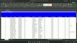 SDMS UDISE 202425 Excel Worksheet Fill up Dan [upl. by Sausa]