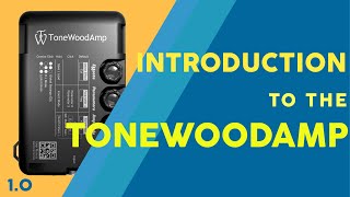 Introduction to the ToneWoodAmp [upl. by Mela204]