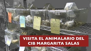 Bienvenidoa al animalario del CIB Margarita Salas [upl. by Constantino]