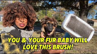 The Pet Portal Deshedding Stainless Steel Bristled Dog Brush [upl. by Opportuna]