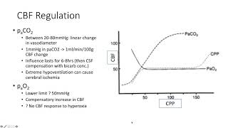 Principles of Neurophysiology  Dr Rebel [upl. by Nikolas]