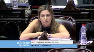 Diputada Lospennato Silvia Gabriela  2da Intervención  Sesión 06122016 [upl. by Eerol]