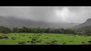 Kamshet waterfall puneshorts trending travel foodie nature [upl. by Ybbil]