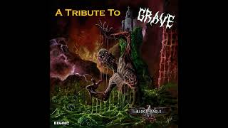 Into The Grave Evil Incarnate  Grave Cover [upl. by Nalat]