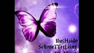 Buschido Schmetterling Remix [upl. by Jonna198]