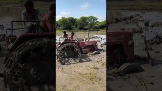 Mahindra tractor working in mud shorts trending tractor [upl. by Dimond]